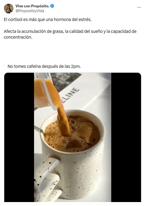 café, infusiones, taza